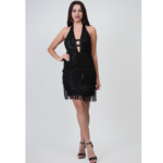 Premium Women's Sequin Fringe Party Dress