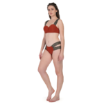 Women's Stretchable Bikini Set - Image 6