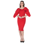 Premium Women's Ruffle Sleeve Bodycon Dress - Image 3